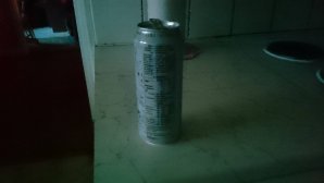 DSC_0020 (1).JPG