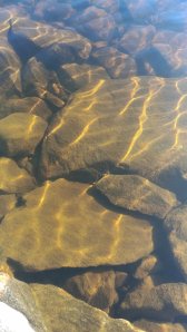 IMG_20160315_135917.jpg
