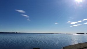 IMG_20160315_135031.jpg