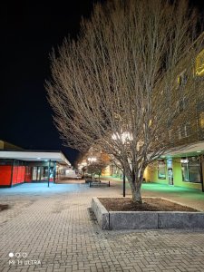 IMG_20220209_200919.jpg