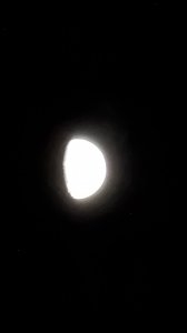 20220210_185755.jpg