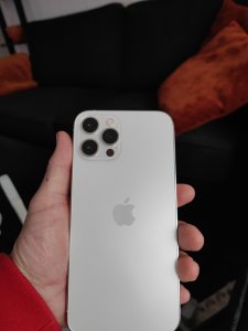 IMG_20220213_093309.jpg