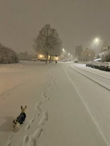 53946CAA-776F-4F98-A83F-B1D782F98F1A.jpeg