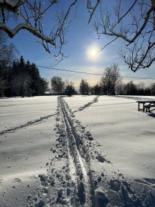 79D7C932-509F-48E1-97E6-762F1379B32C.jpeg