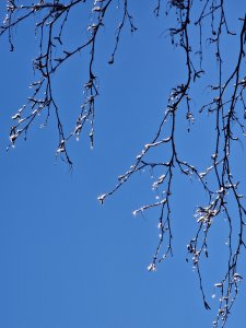 20220220_124409.jpg