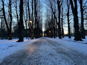 98E43C94-5D71-427E-BBAF-E730937EDA17.jpeg