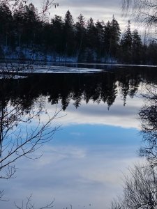IMG_20220222_085742.jpg