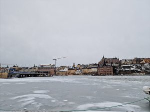 20220223_074949.jpg