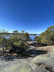 IMG_1971.jpg