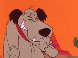 05F08672-9B31-4BDD-85AC-D13B802C1816.gif