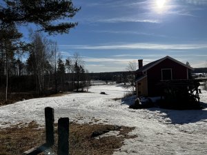 31985E7F-D34A-4DB6-8C51-590A02B9392C.jpeg