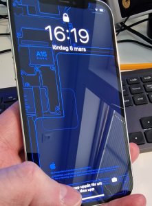 20220305_161857 (2).jpg