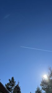 5A203CEB-CA43-4681-8D30-EB09ABB671C4.jpeg