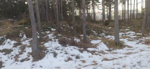 IMG_20220308_065758168.jpg