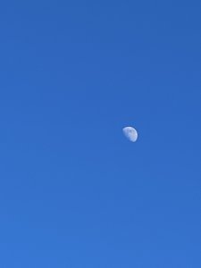 CBD0F300-4946-4721-9493-75E49000A5D2.jpeg