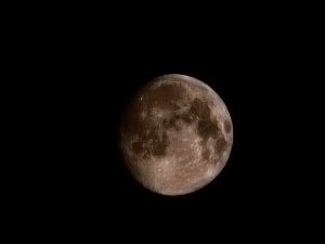 20220316_044004~2.jpg