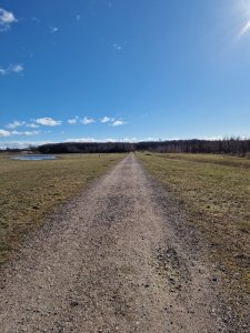 20220304_115919.jpg