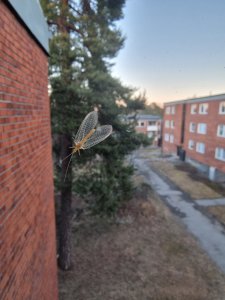 20220320_174919.jpg