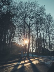 20220313_162846.jpg