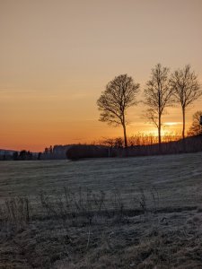 PXL_20220323_170918530.jpg