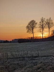 PXL_20220323_170918530.jpg