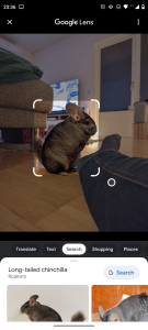 Screenshot_20220326-233610.png