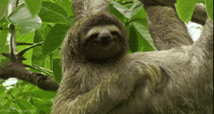 82A6ADF7-8C76-4E62-9F77-A256CDF15B39.gif