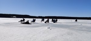 IMG_20220415_114259.jpg
