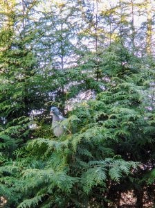 PXL_20220418_101855494.jpg