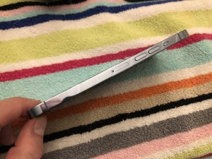 IMG_0009.JPEG