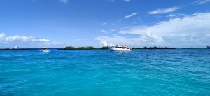 IMG_20220428_062612.jpg