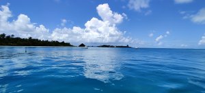 IMG_20220428_074016.jpg