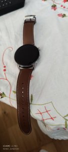 IMG_20220421_161626.jpg