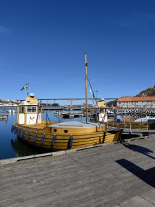 IMG_20220503_102743.jpg