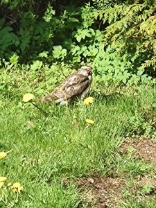 IMG_20220508_093709129.jpg