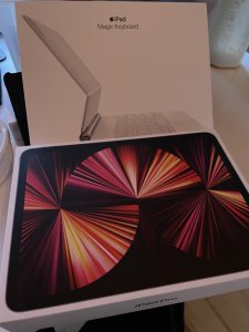IMG_1813 Stor.jpeg