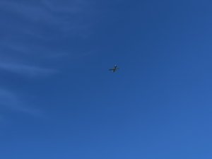 3D72D4DB-7A9E-40D7-90AC-722D3D6BCEE0.jpeg