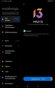 Screenshot_2022-06-06-17-16-47-833_com.android.updater.jpg