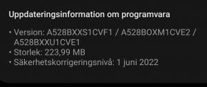Screenshot_20220614-061926_Software update_cr.jpg