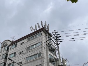 A6203649-046A-4A05-AE8D-7B6A1673FE6C.jpeg