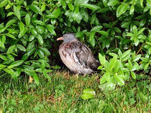 IMG_20220619_134224511~2.jpg