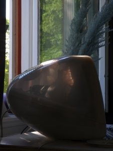 PXL_20220621_161131306.jpg