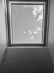 PXL_20220703_191555986.jpg