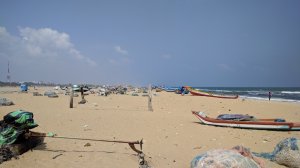 IMG_20171029_125658.jpg