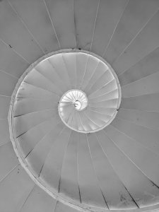 PXL_20220709_080741102.jpg