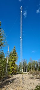 20200508_160011.jpg
