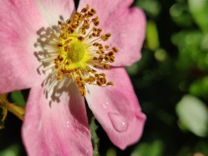 IMG_20220712_071922.jpg