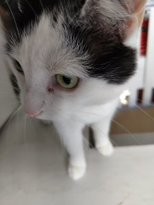 IMG_20220726_093649582.jpg