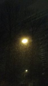 IMG_20160320_204207294.jpg