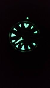 IMG_20160331_073827.jpg